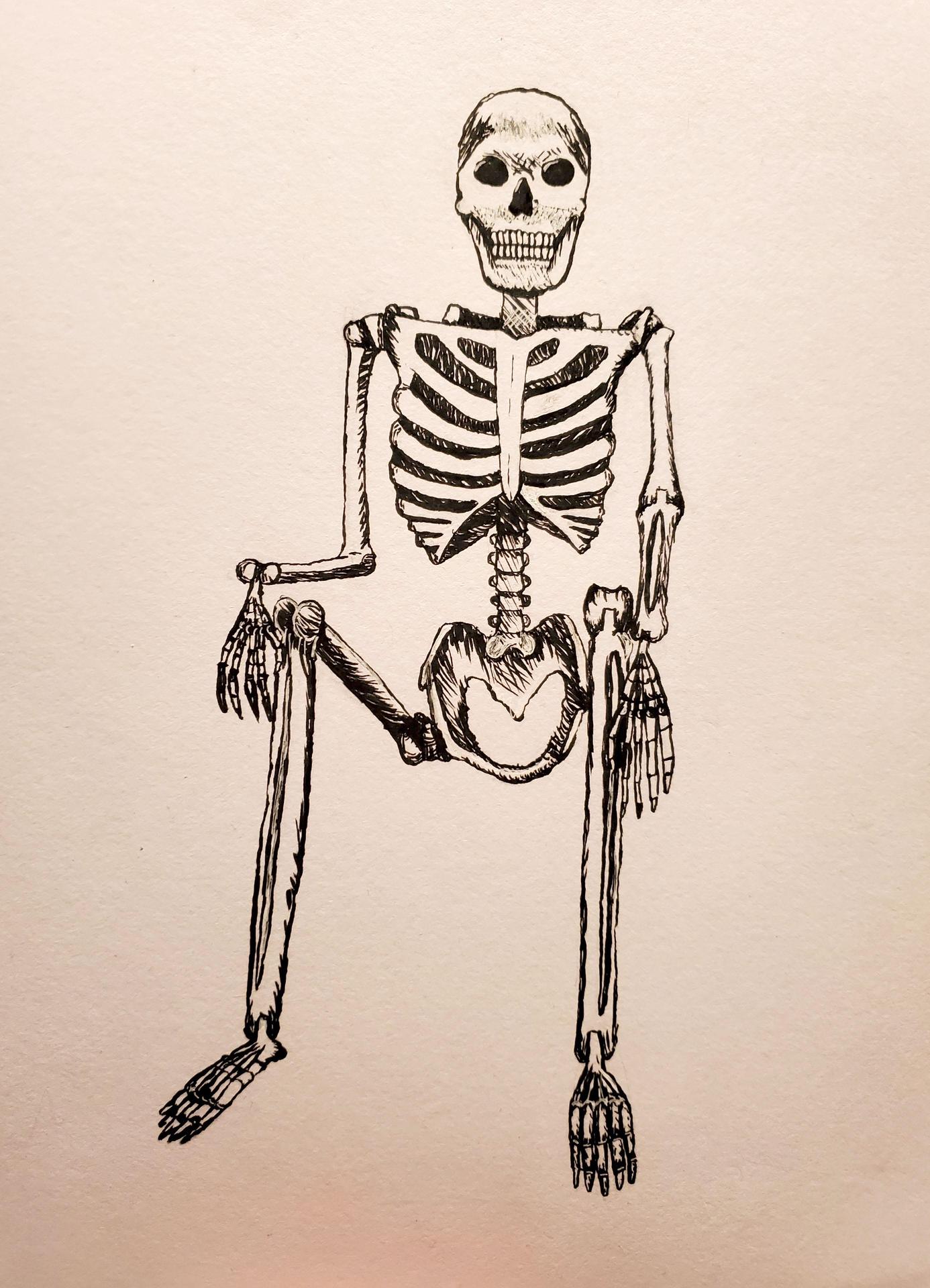 skeleton