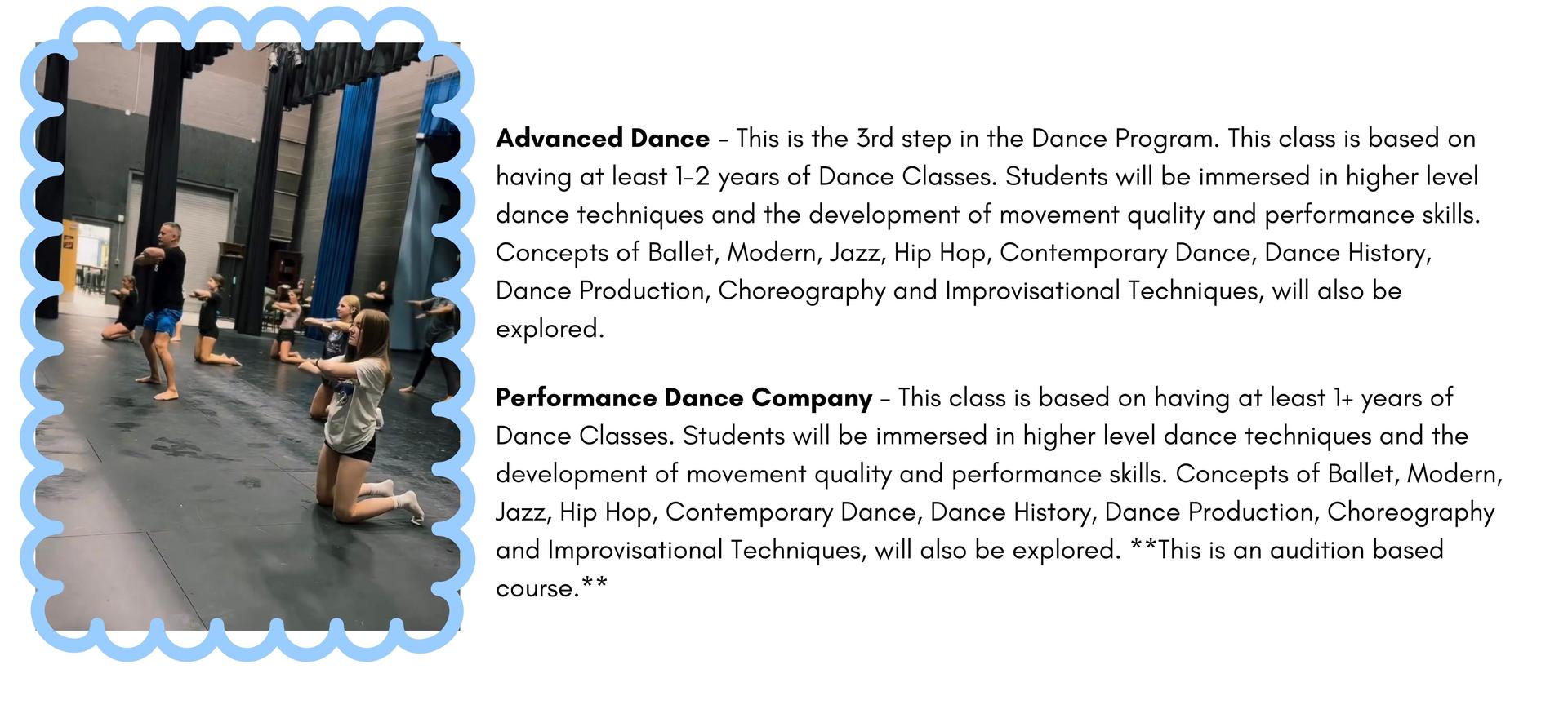 performing arts blurb