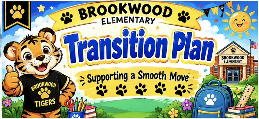 Transition plan