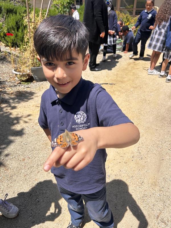 Students Raise and Release Butterflies in Campus Living Lab
