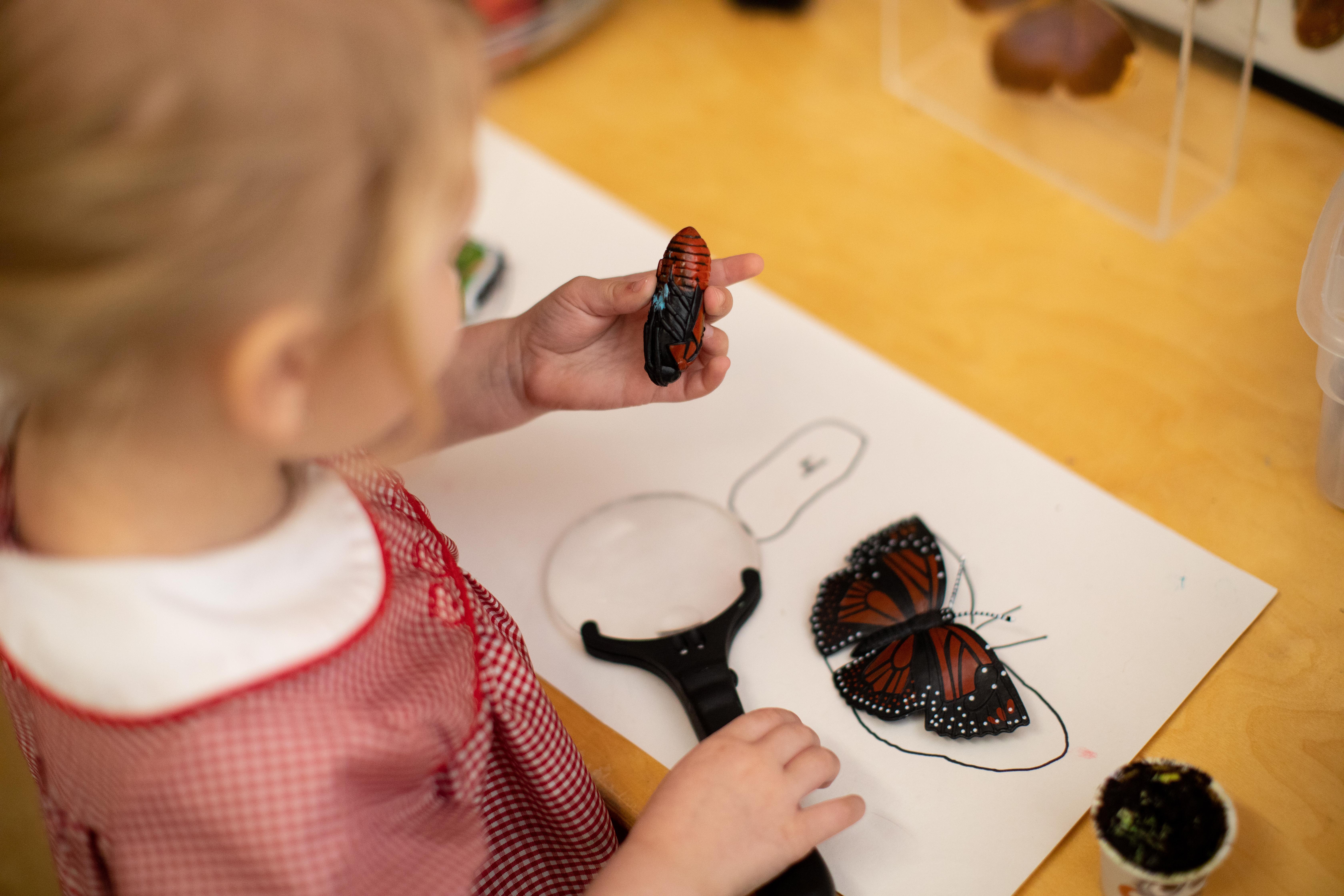 preschool student with magnifying glass and butterfly