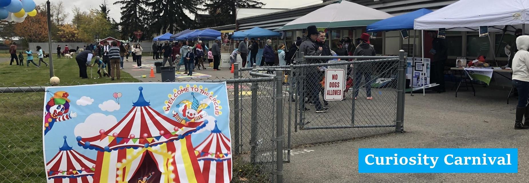 Curiosity Carnival