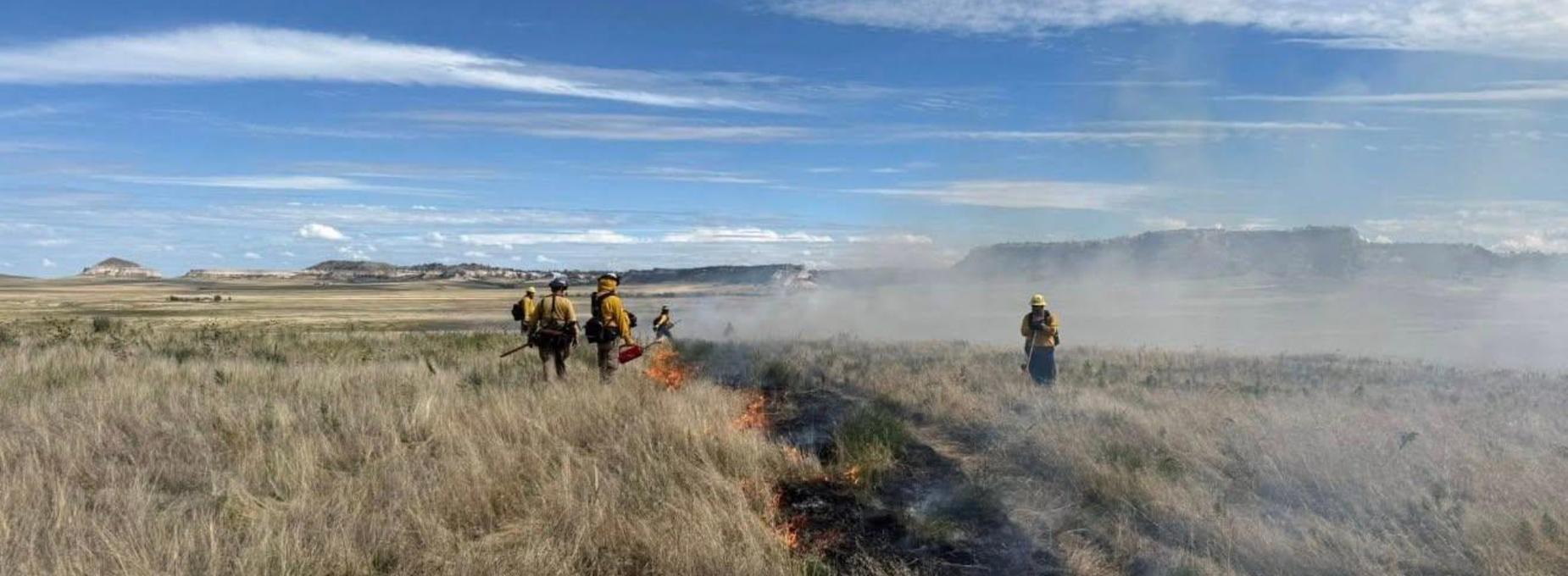 Firefighters managing a controlled burn in a grassy landscape.