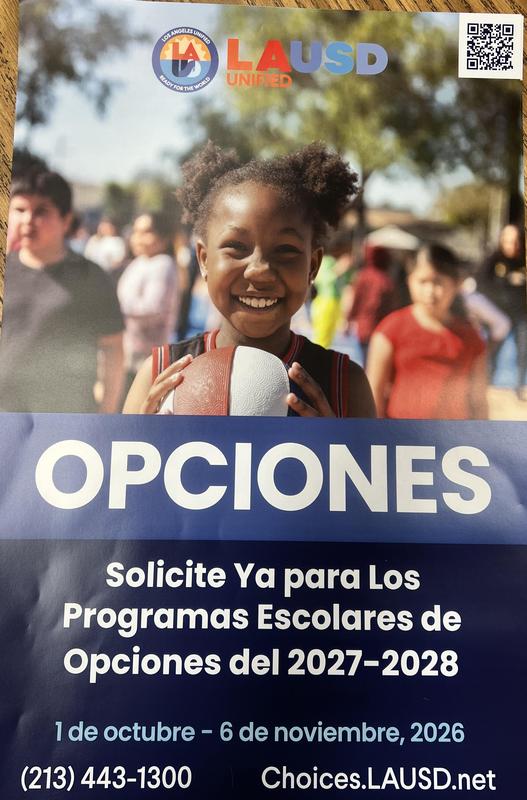 Choices Spanish Flyer