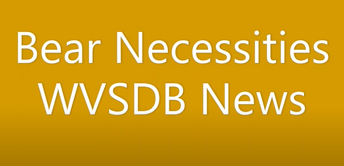 Bear Necessities WVSDB News