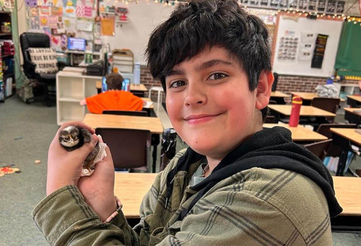 A young boy holds a baby chick in his hands