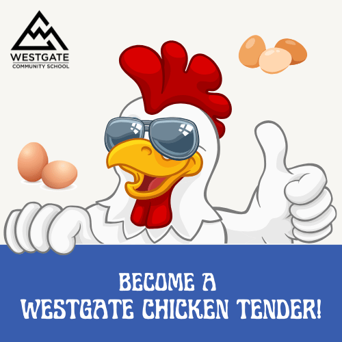 Become a Westgate Chicken Tender