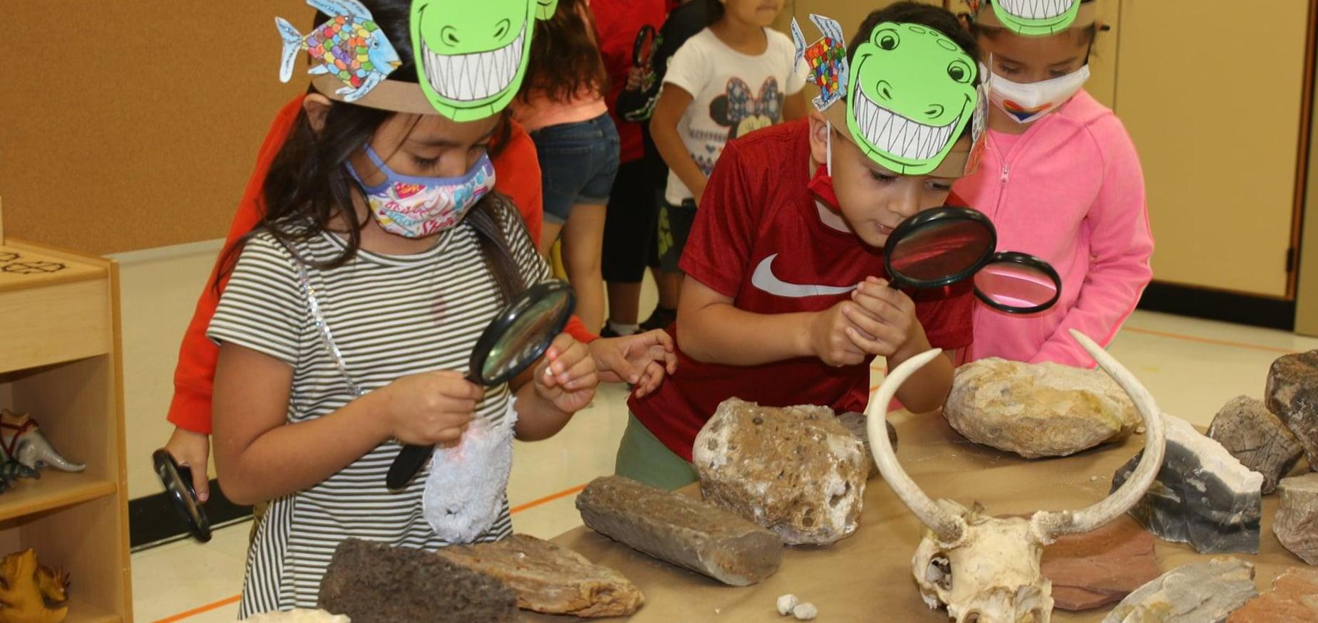 students examine fossils in summer school