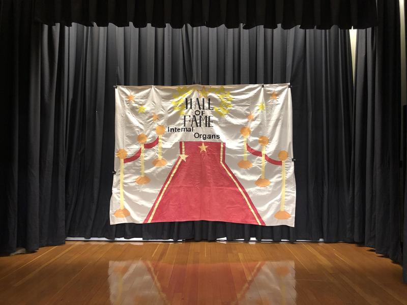 2nd/5th STEAM Play-Internal Organs Hall of Fame Featured Photo