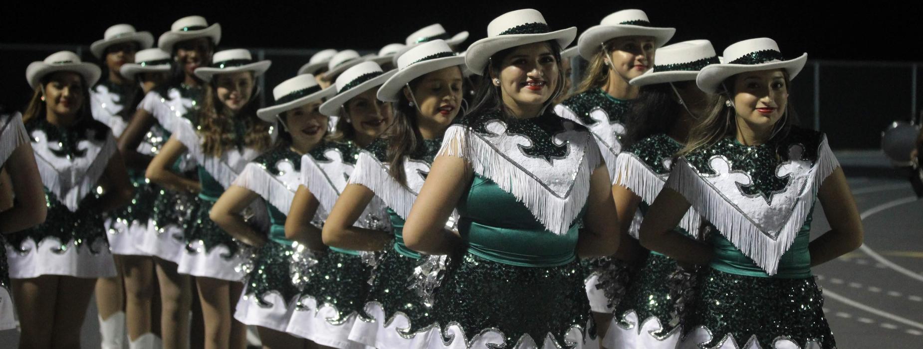 Hi Steppers