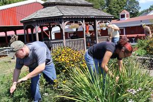 Two FFA students weed a flower bed