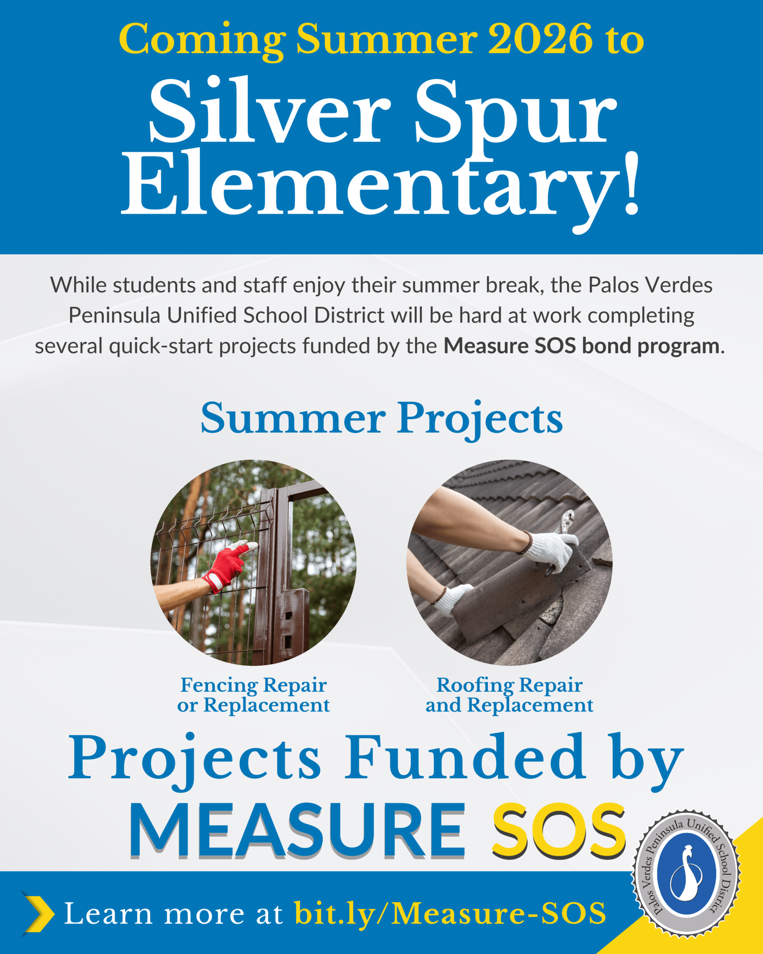summer project infographic