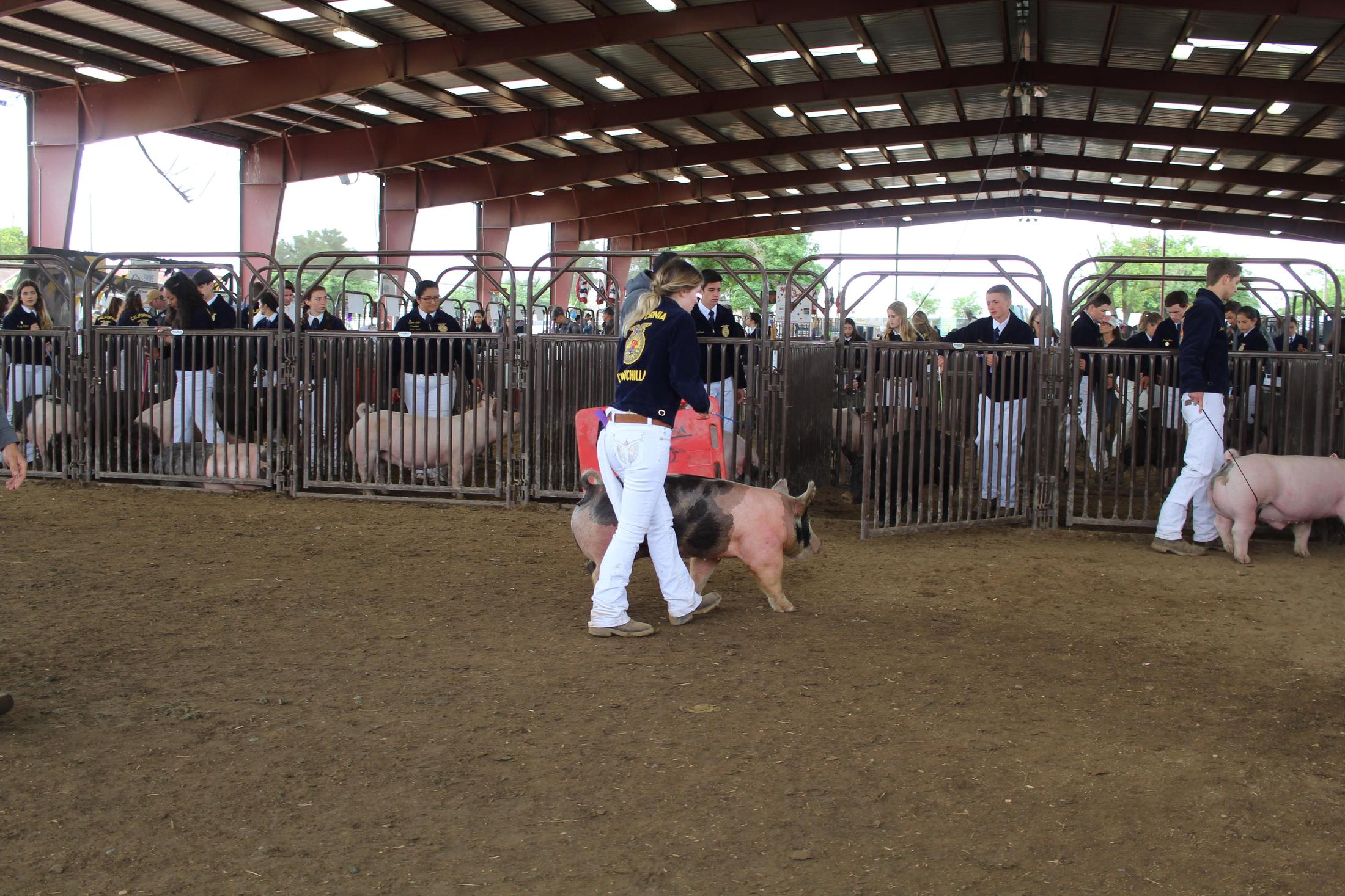 Chowchilla Fair and Parade, May 1419, 2019 CUHS Videos & Photos