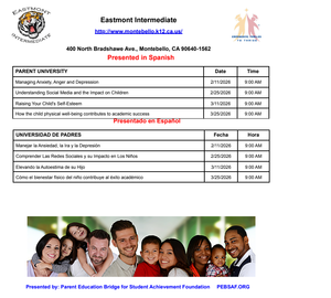 PEBSAF (Parent Education Bridge for Student Achievement Foundation)