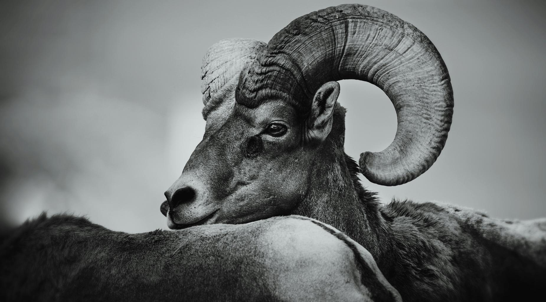 Placeholder text, please change