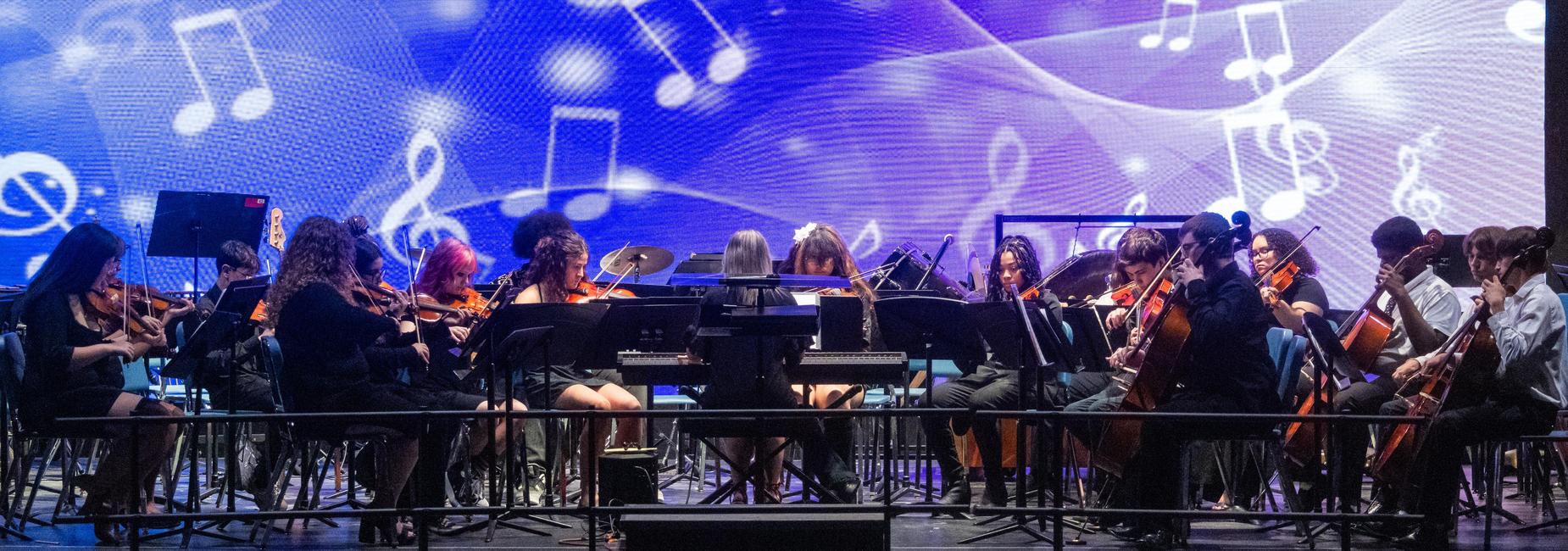 The orchestra performs
