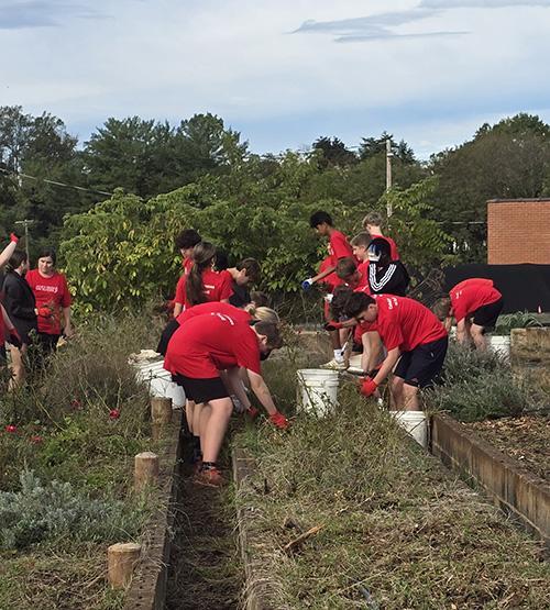 JRDS 8th graders work at Lynchburg Grows.