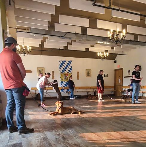 Dog obedience training class
