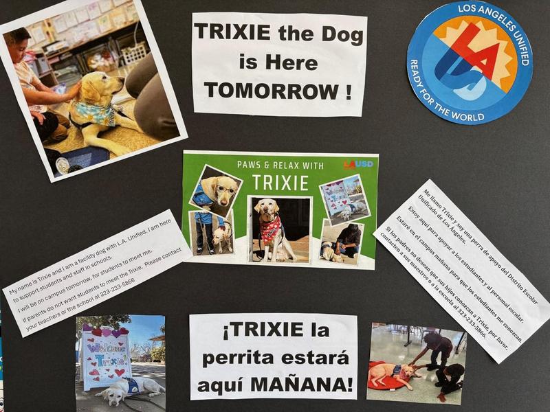Trixie poster