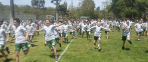 PE