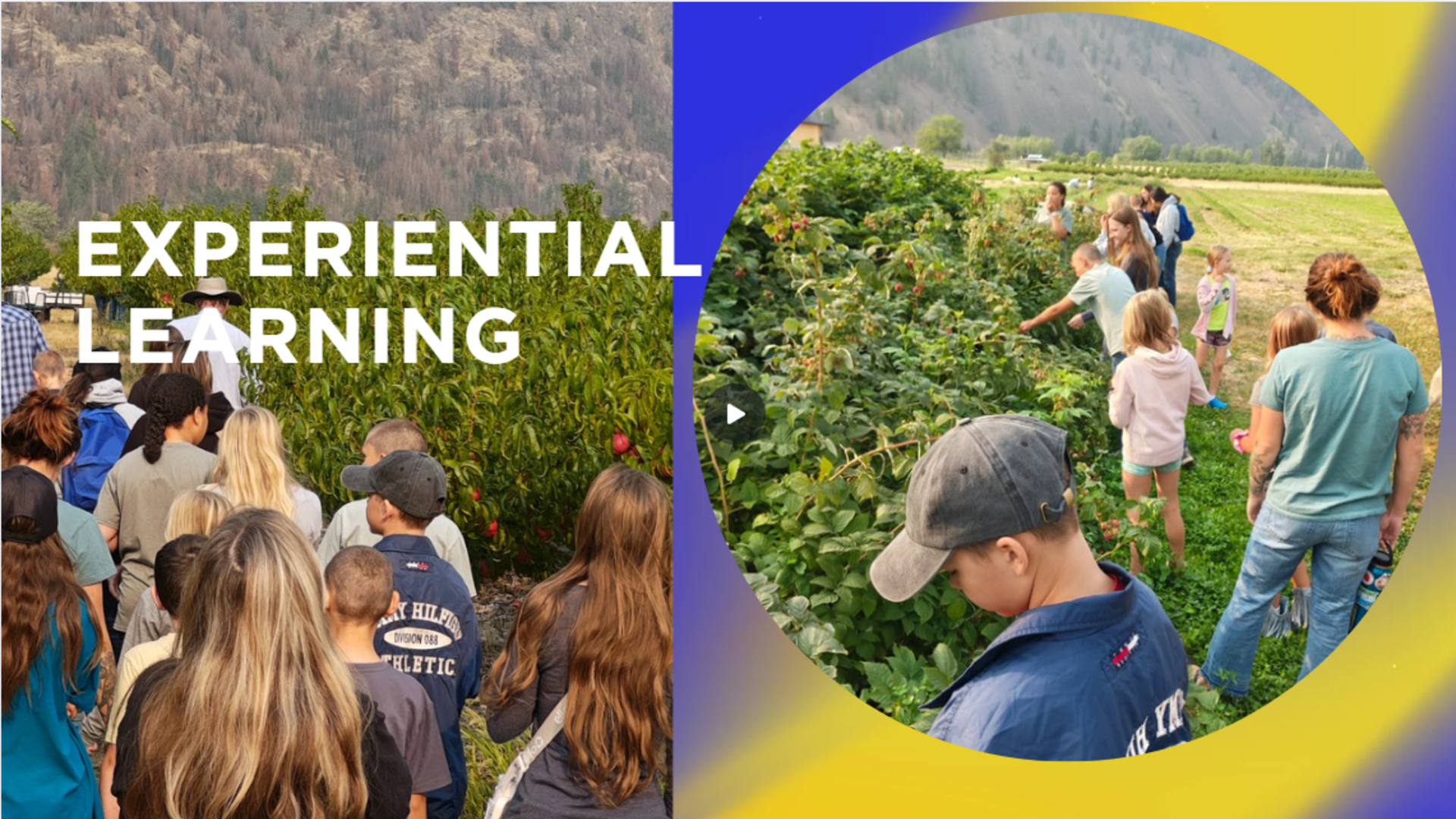 Collage of students engaged in experiential learning activities, outdoors and in a group.