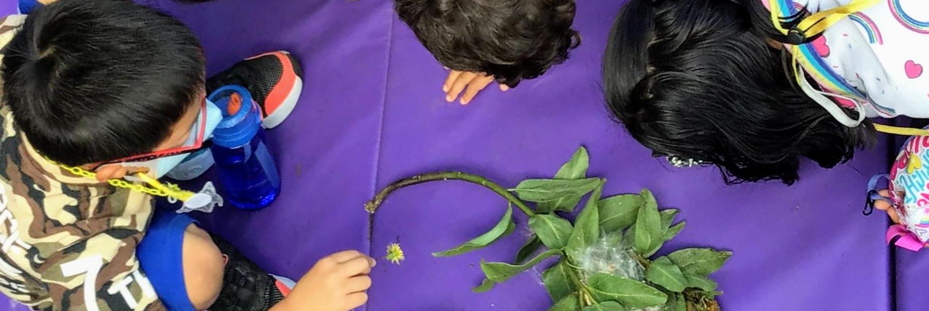 Goodwater Montessori Public Charter School