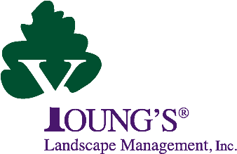 Young's Landscape Management