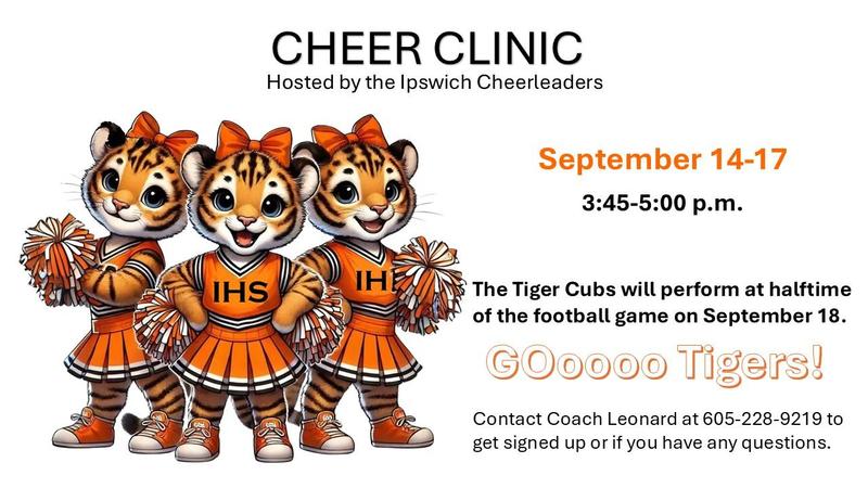 Tiger cheer clinic to be held on Sept 14-17