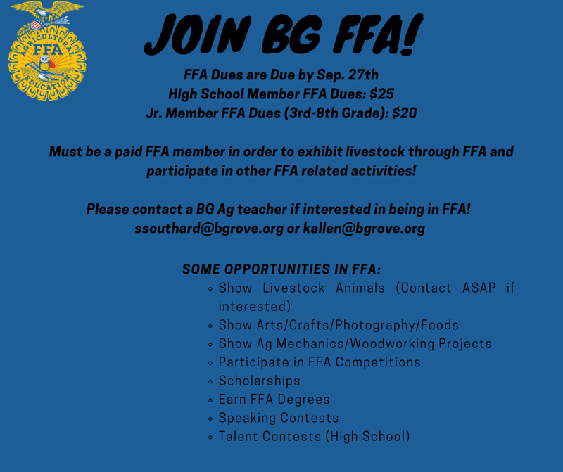 FFA Dues