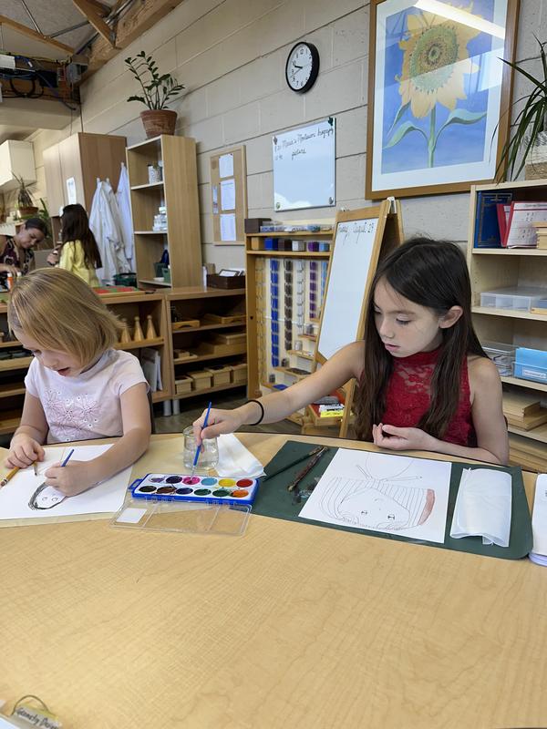 Iguanas Classroom