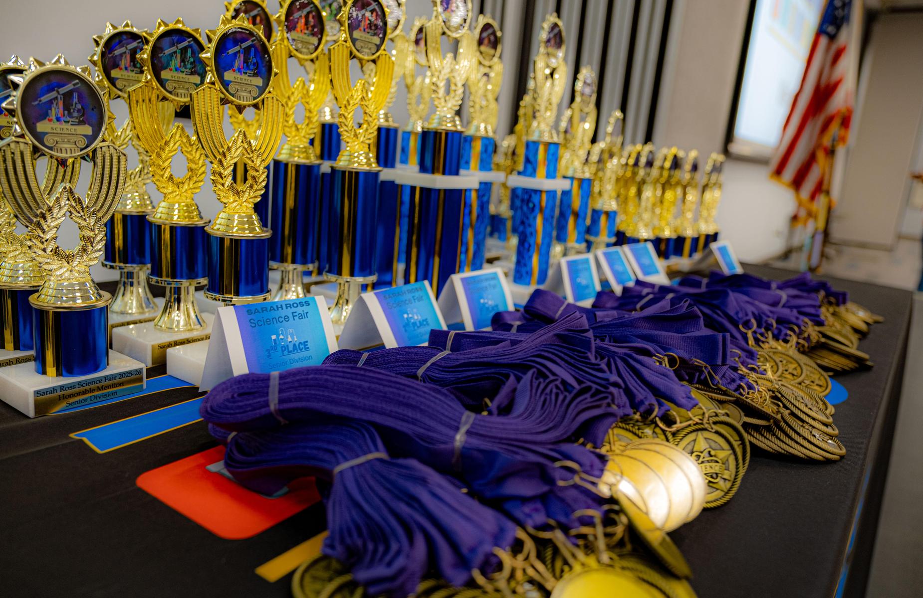 Sarah Ross fair medals and trophies