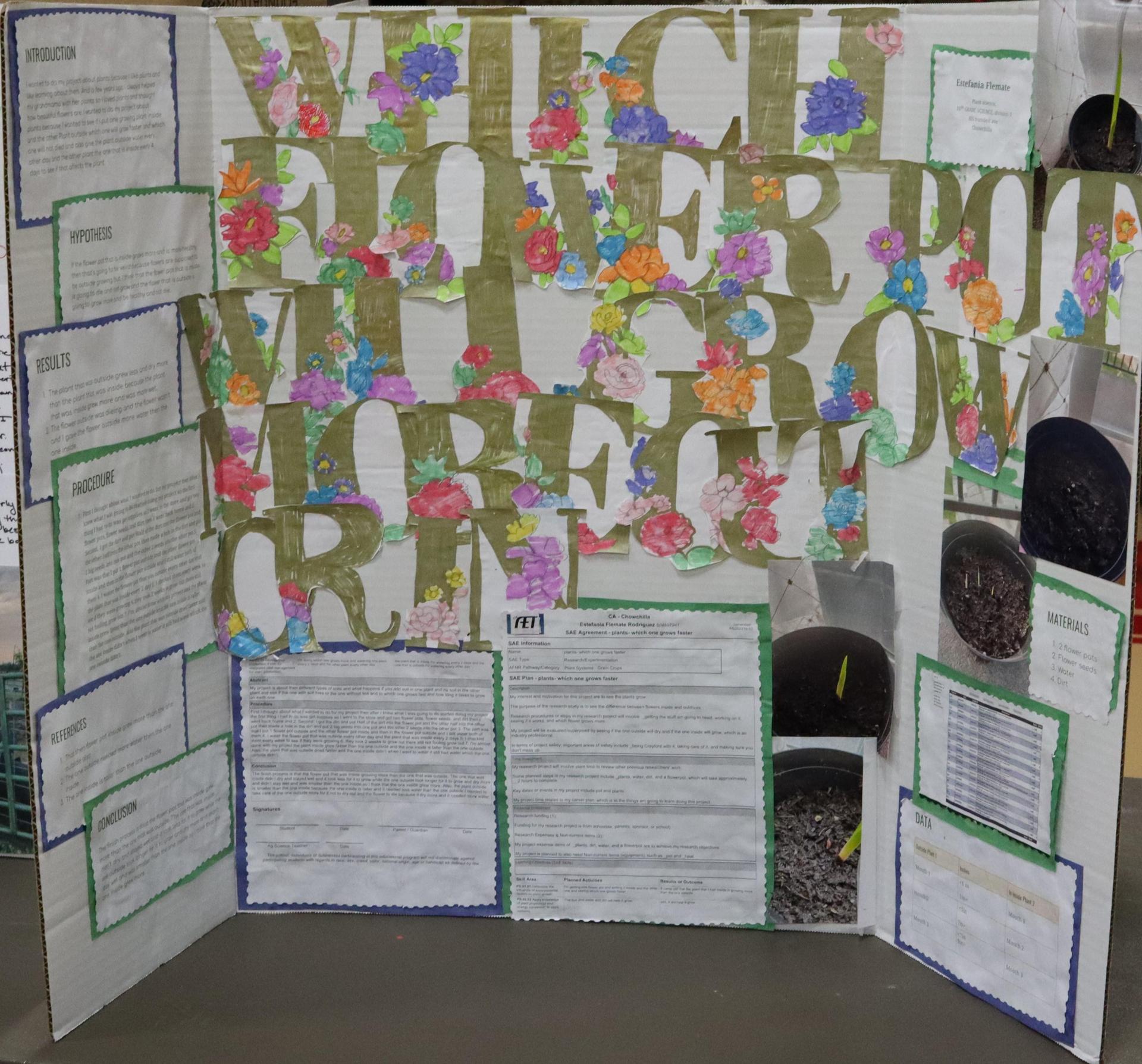 A Supervised Agricultural Experience trifold display