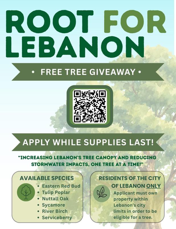 tree giveaway flyer with instructions and QR code and image of big green tree
