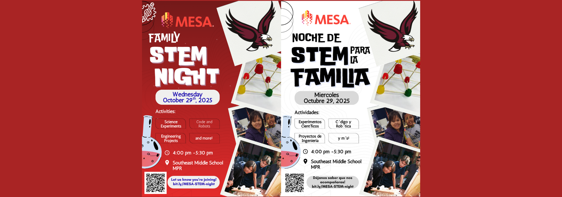 Stem Night Flier