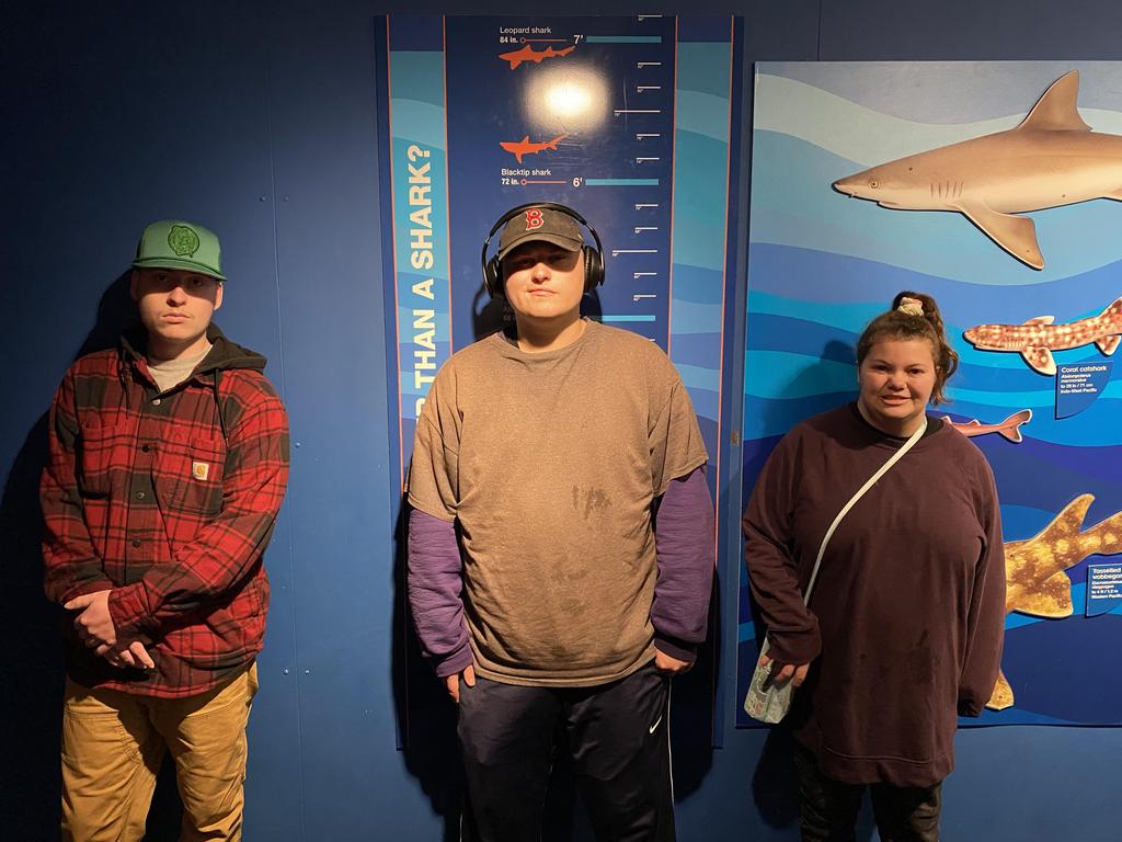 Aquarium
