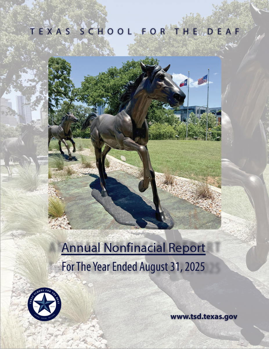 Annual Non Financial Report 2025