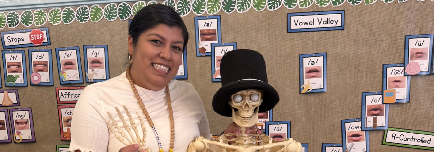 3rd grade skeleton model