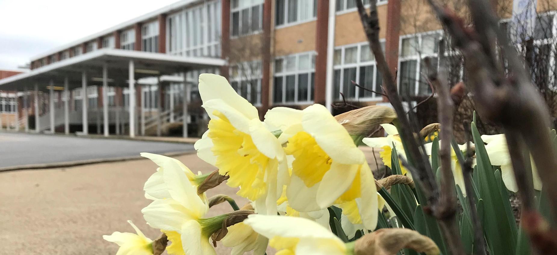 Abingdon High School