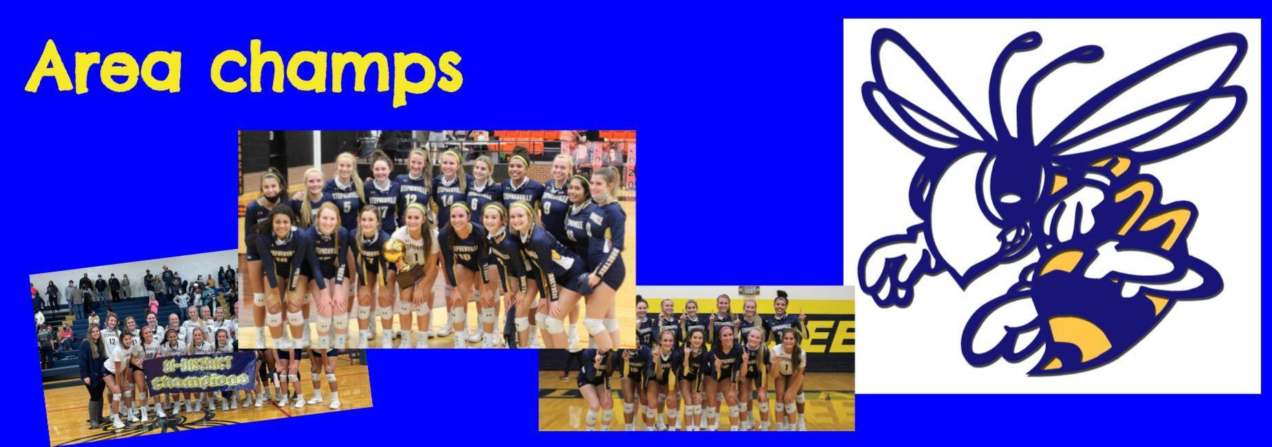 volleyball area champs