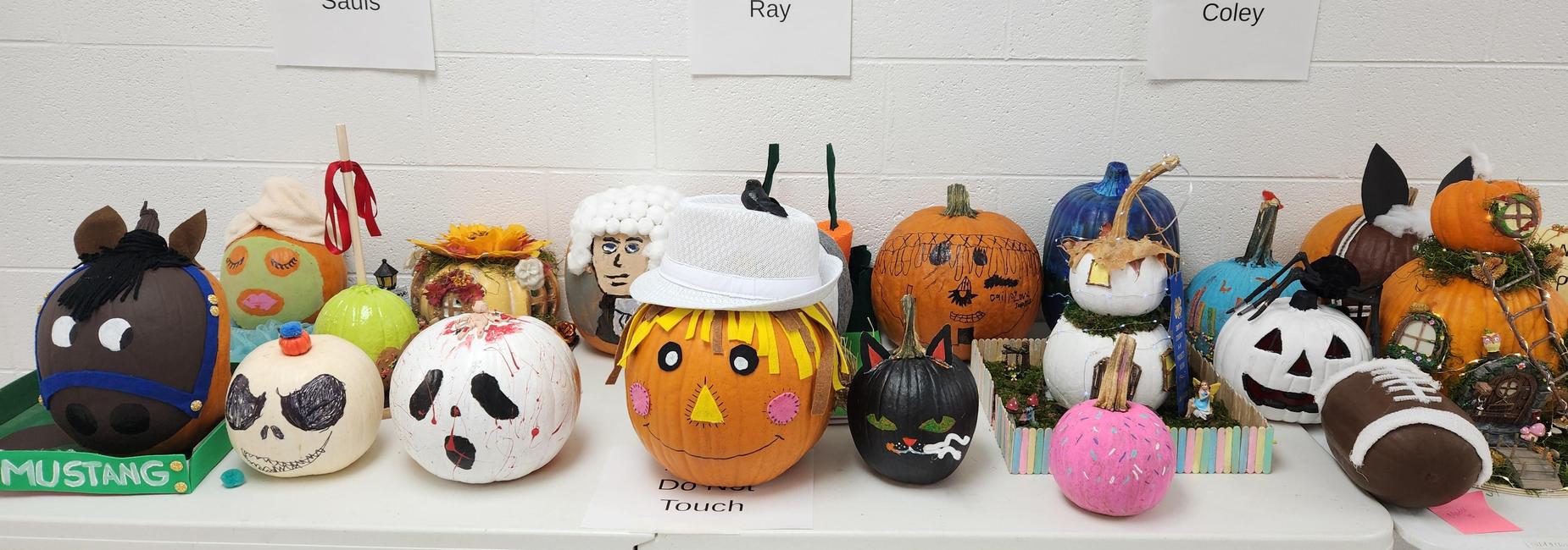 Students are very creative in decorating pumpkins for their 4H project