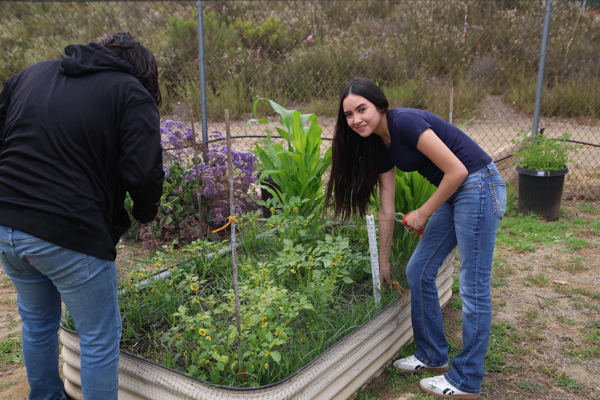 middle school students in the garden.