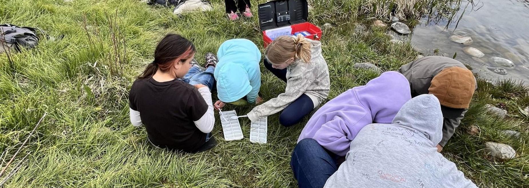 Group of people examining samples by a river in a grassy area.