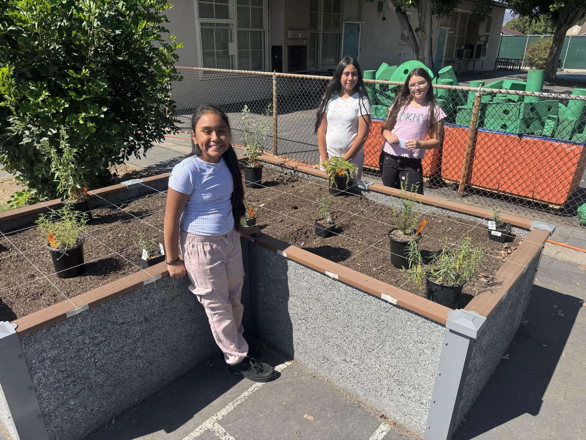 Lorne's Monarch Butterfly Sanctuary Garden