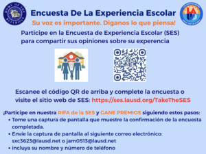 Encuesta De La Experiencia Escolar