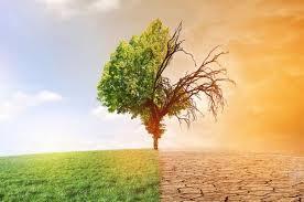 NO CLASSES FRIDAY, MAY 22, 2026 & MONDAY, MAY 25, 2026 Featured Photo