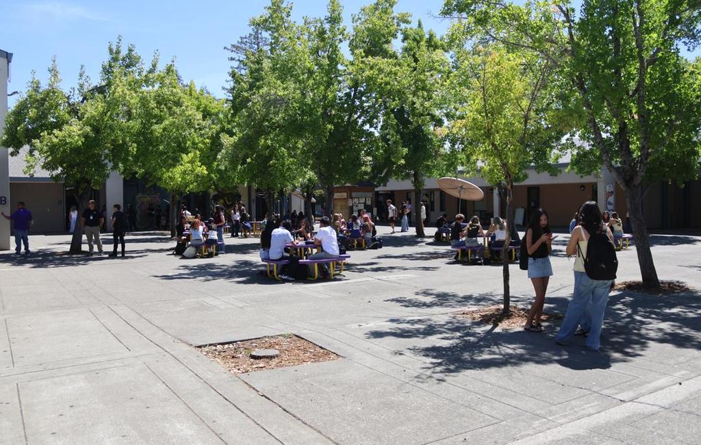 High school students at lunch, first day