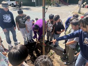 Students planting trees.