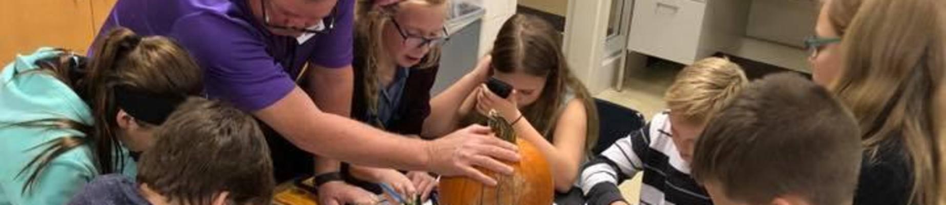 5th Grade Pumpkin Math