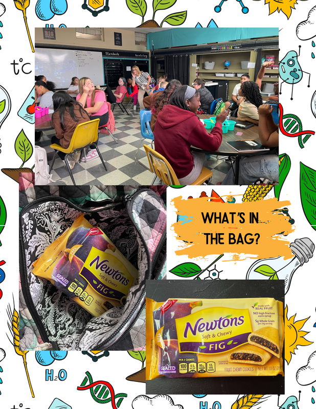 Whats in the bag?