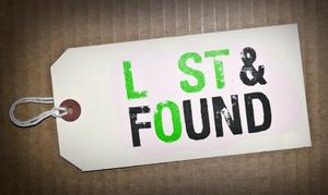 Lost & Found Title.jpg
